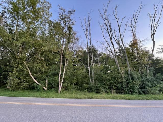 Blockhouse Valley Road Clinton, TN 37716 - Photo 1 of 4 Road View