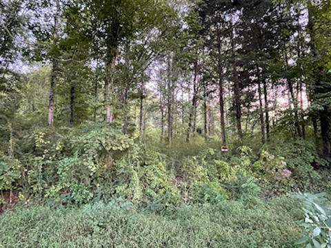 Blockhouse Valley Road Clinton, TN 37716 - Photo 2 of 4 Front of Property