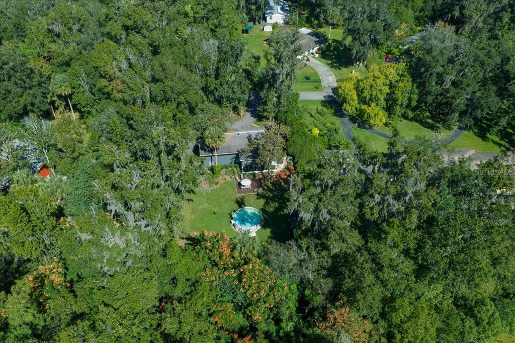 430 Southwest 43rd Place Ocala, FL 34471 - Photo 65 of 83 a view of a forest with a tree