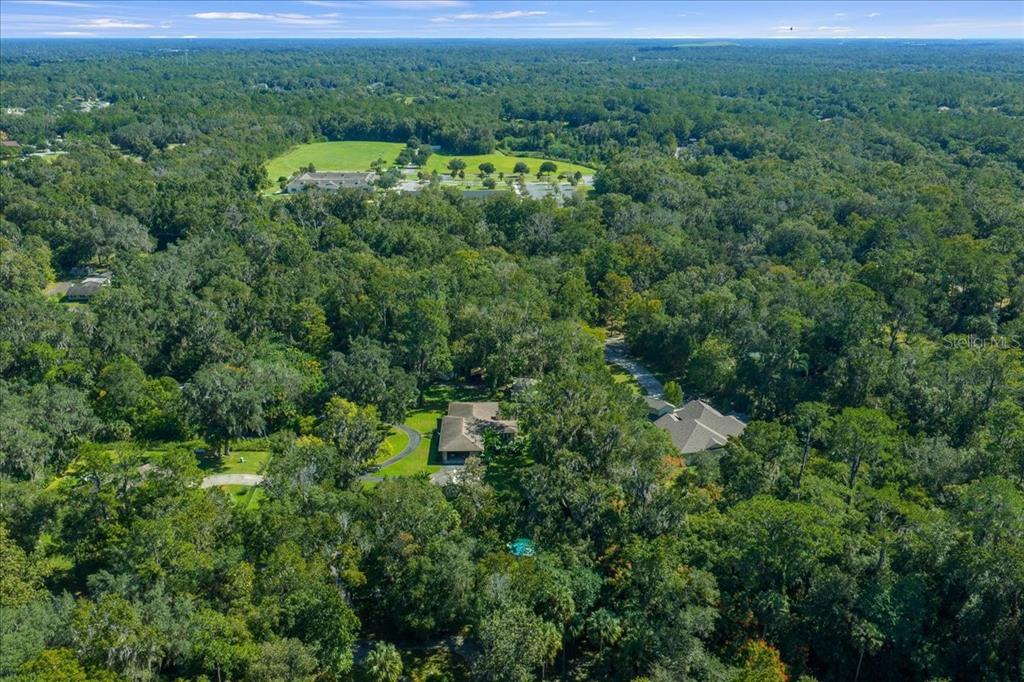 430 Southwest 43rd Place Ocala, FL 34471 - Photo 69 of 83 a view of a lush green forest with trees and some houses