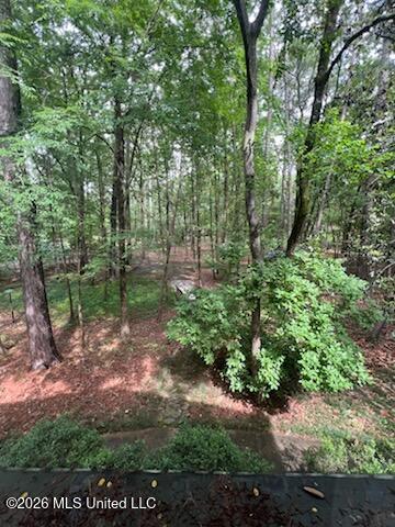 113 Campfire Circle Brandon, MS 39047 - Photo 28 of 44 IMG_7854