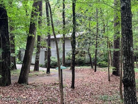 113 Campfire Circle Brandon, MS 39047 - Photo 3 of 44 IMG_7897