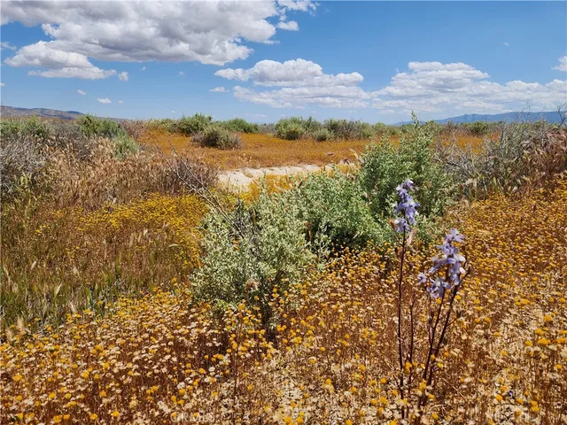 $8,000 | 0 Blocksburg, Unit 11 LOT 70, Santa Margarita, CA 93453