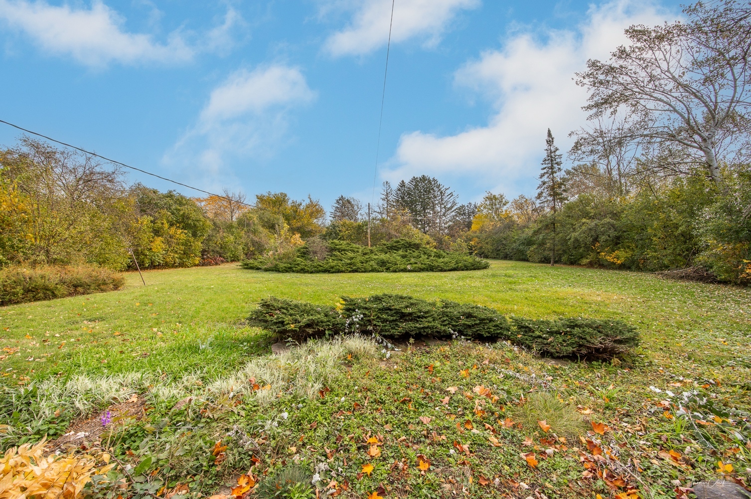 853 Cramer Court Willowbrook, IL 60527 - Photo 10 of 32 a view of an ocean and a yard