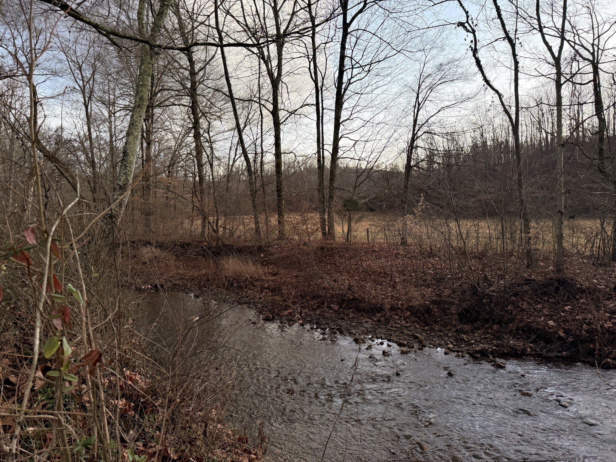 2732 Railroad Bed Road Iron City, TN 38463 - Photo 2 of 44