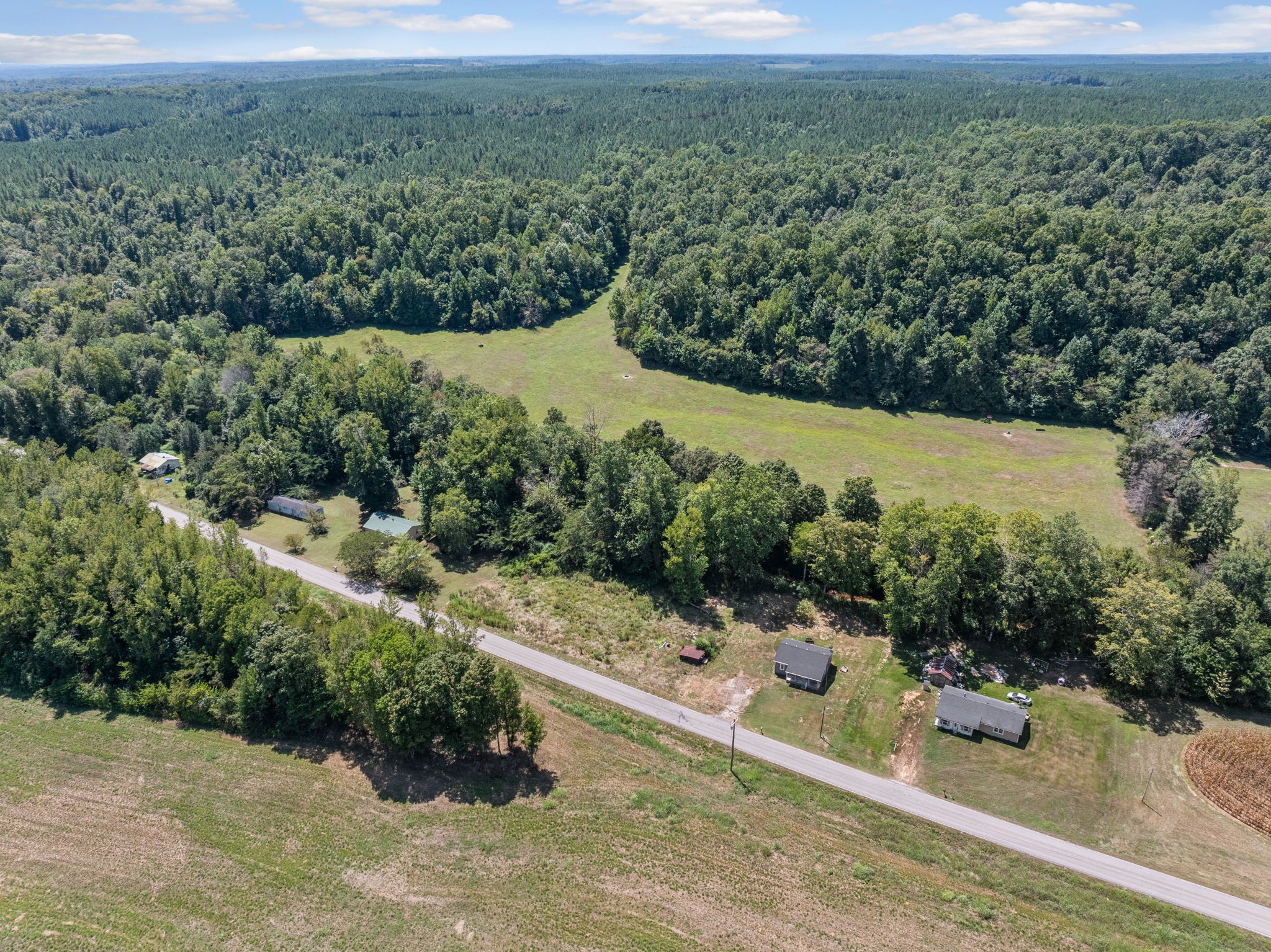 2732 Railroad Bed Road Iron City, TN 38463 - Photo 26 of 44 a view of a field with a mountain in the background