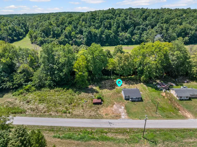 a view of backyard with large trees