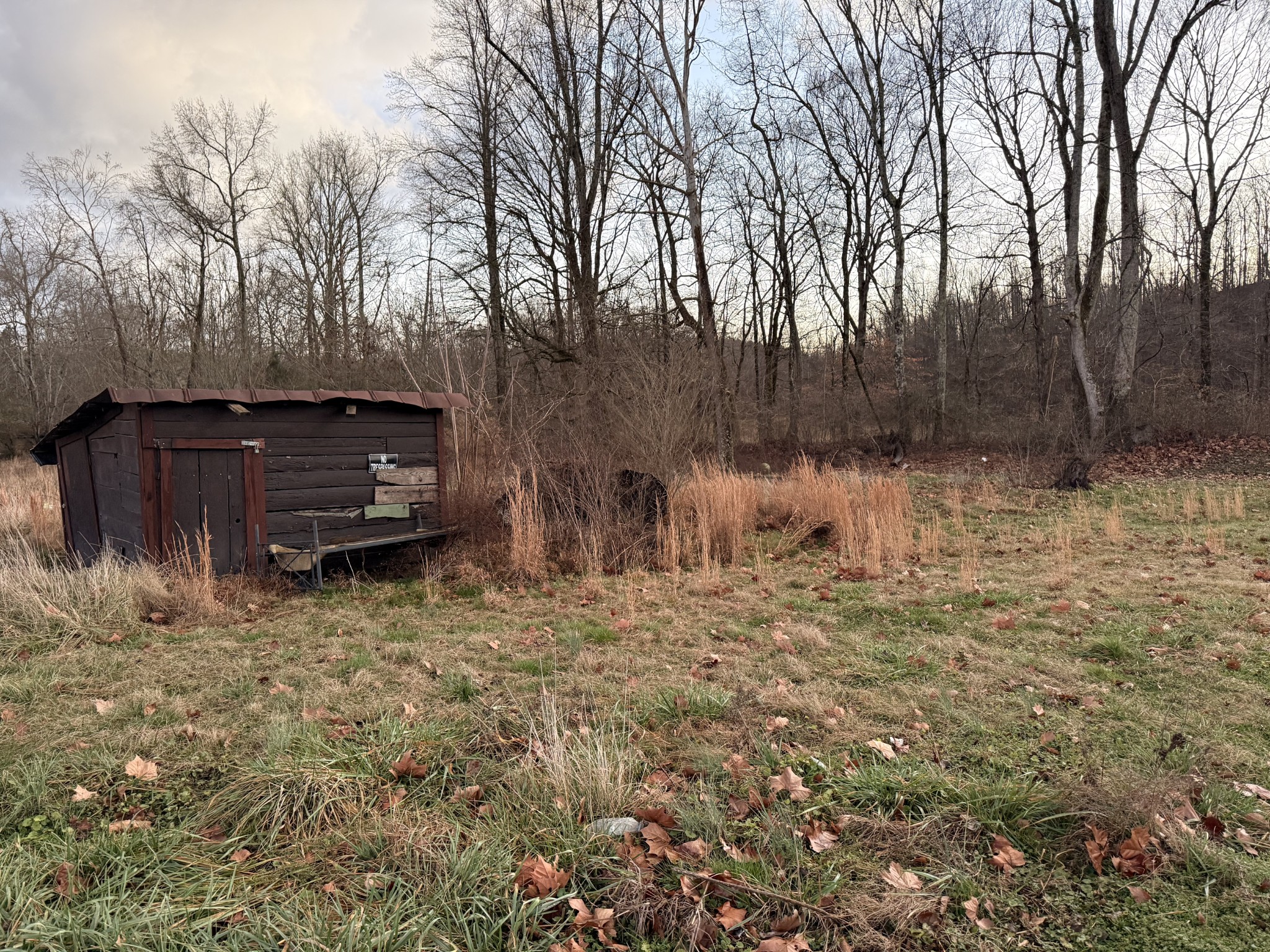 2732 Railroad Bed Road Iron City, TN 38463 - Photo 44 of 44 a view of backyard with large trees