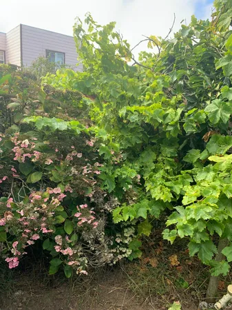 $799,000 | 271 Granada Avenue, San Francisco, CA 94112