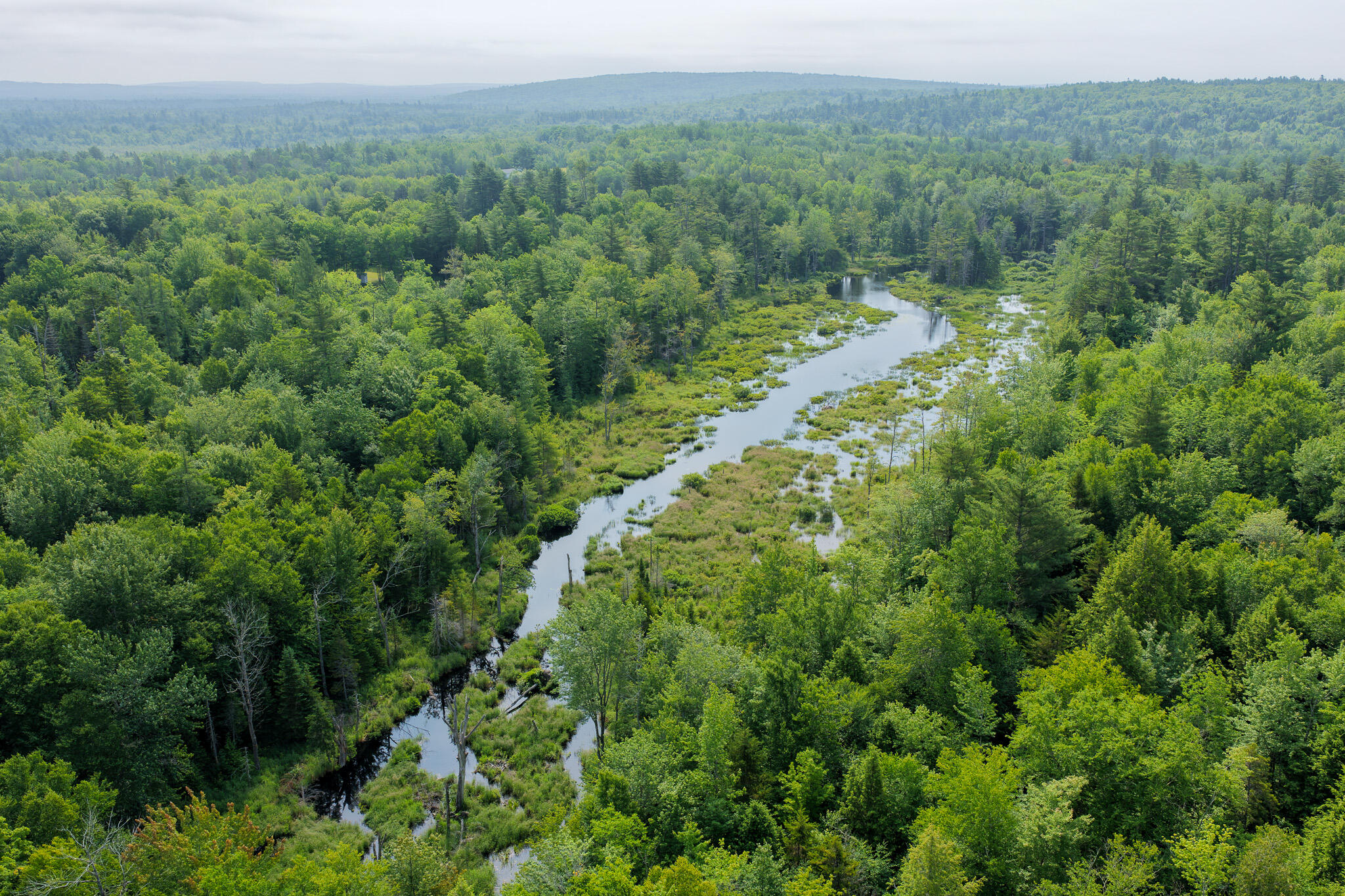 156 North Union Road Cooper, ME 04657 - Photo 8 of 11 8