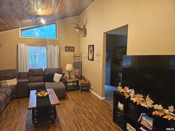a living room with furniture flowerpot and a rug