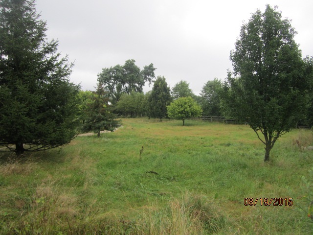 19105 McGuire Road Harvard, IL 60033 - Photo 4 of 16 a big yard with lots of green space and deers