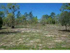 Lot 2 Southwest Lot Court Ocala, FL 34481 - Photo 1 of 1 a view of a yard with trees in the background