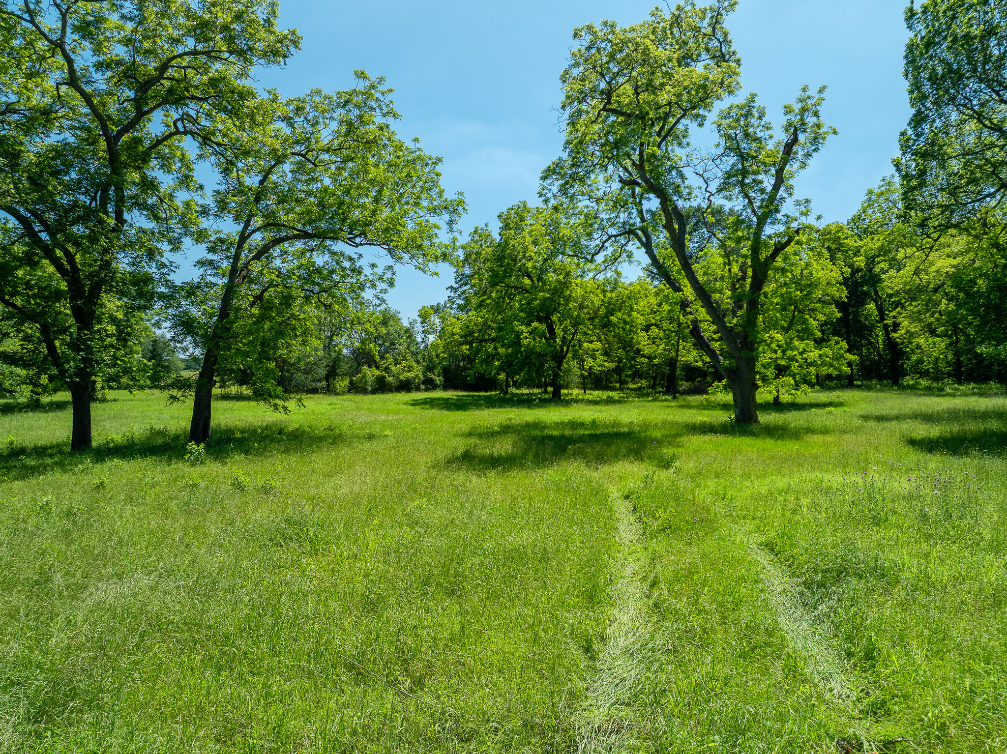 400 619th Spur Elgin, TX 78621 - Photo 11 of 40 A tranquil, verdant landscape with scattered mature trees perfect for building your dream estate.