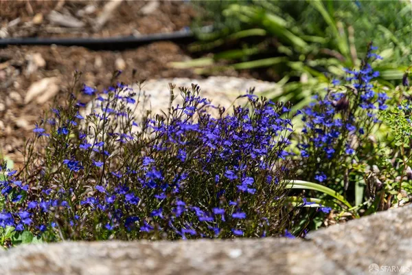 $2,198,800 | 1122 Kendal Court, San Jose, CA 95120