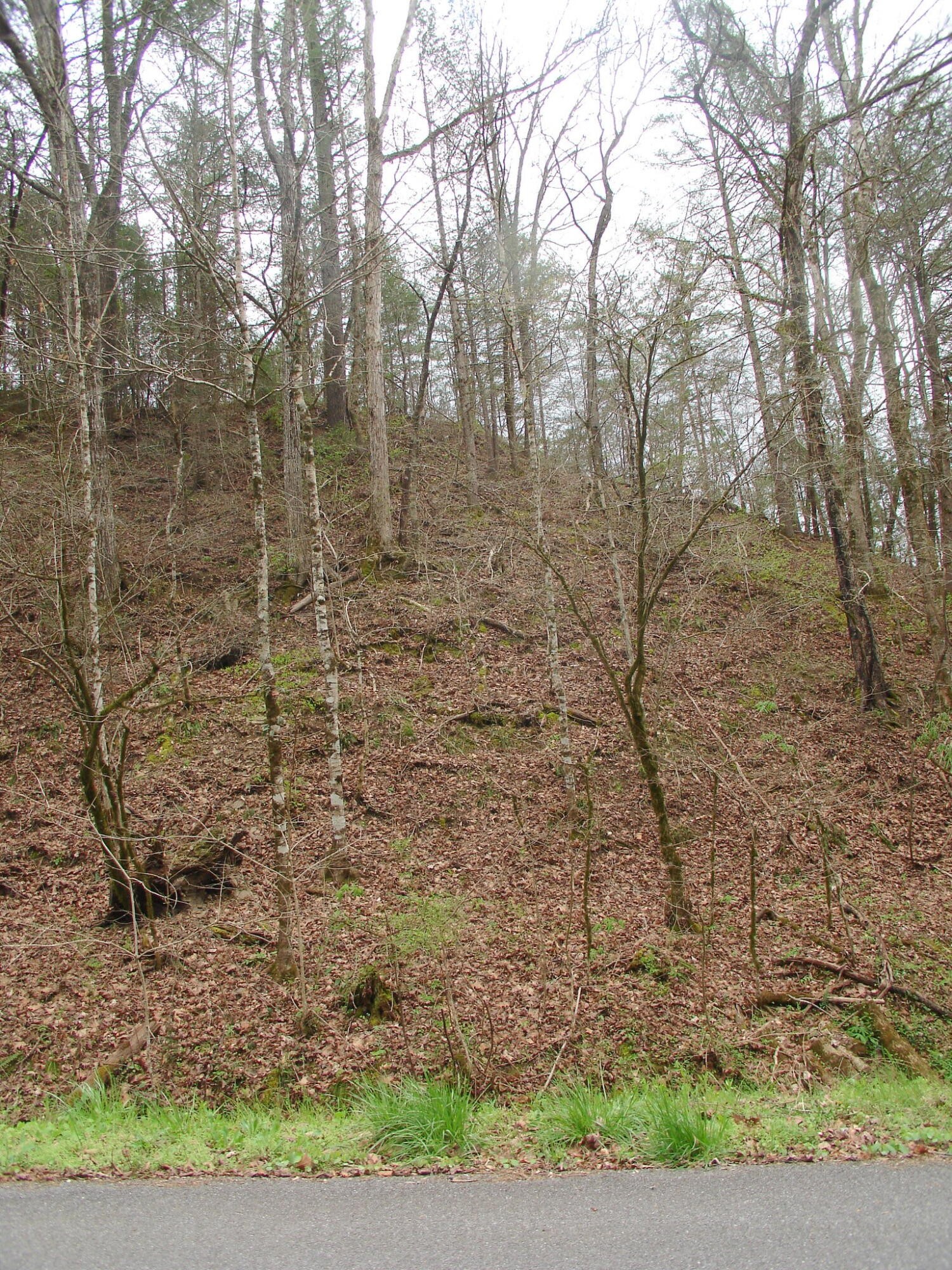 1 Jones Cove Road Sevierville, TN 37876 - Photo 11 of 12