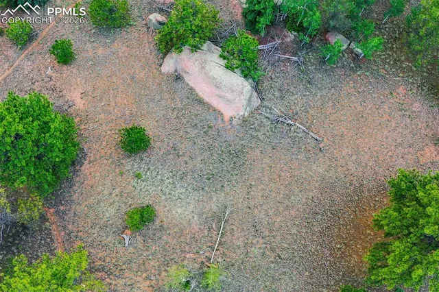 a view of a pathway with a yard