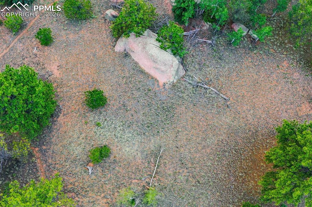 549 Spring Valley Lane Florissant, CO 80816 - Photo 11 of 12 a view of a pathway with a yard
