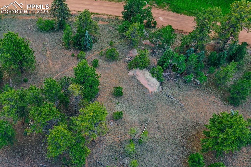 549 Spring Valley Lane Florissant, CO 80816 - Photo 12 of 12 an aerial view of a yard