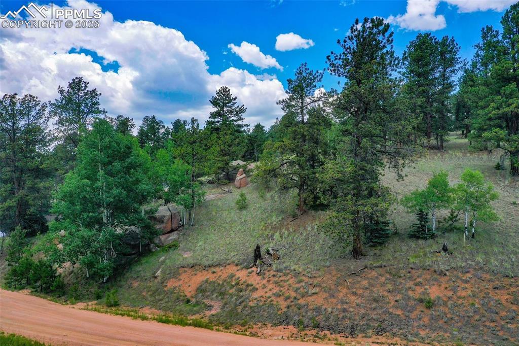 549 Spring Valley Lane Florissant, CO 80816 - Photo 2 of 12 a view of a lake with a yard