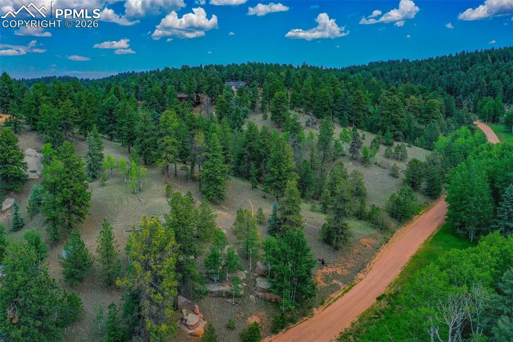 549 Spring Valley Lane Florissant, CO 80816 - Photo 3 of 12 a view of a lake with a yard