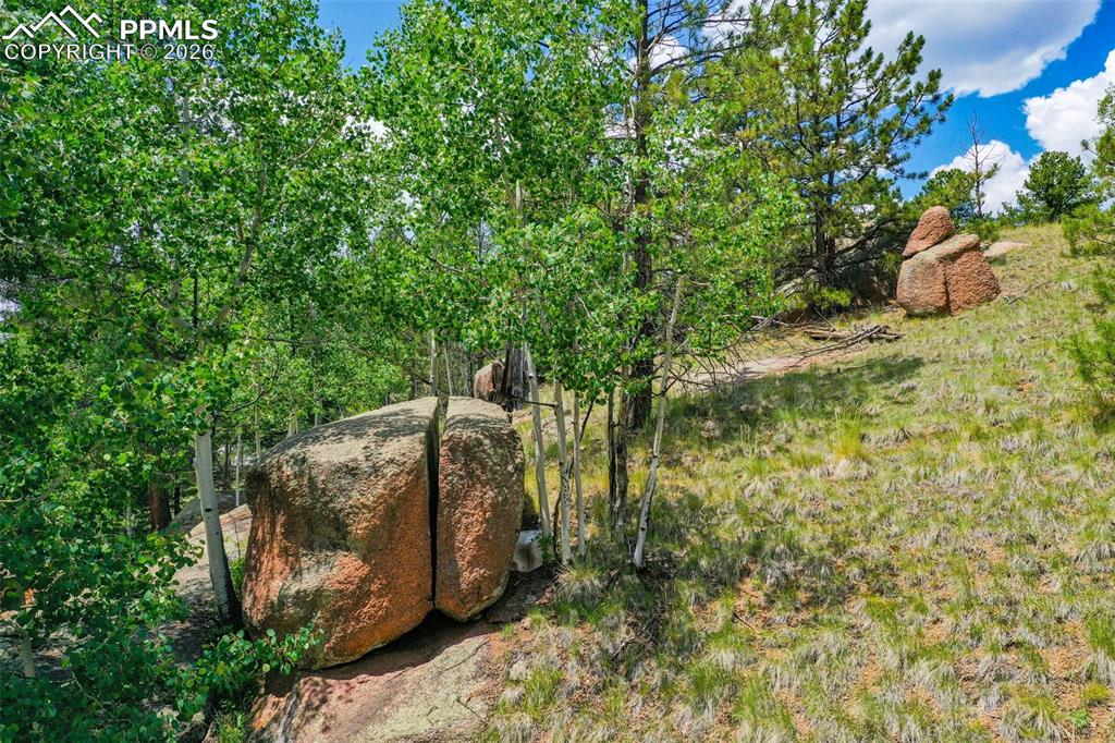 549 Spring Valley Lane Florissant, CO 80816 - Photo 5 of 12 a view of a yard