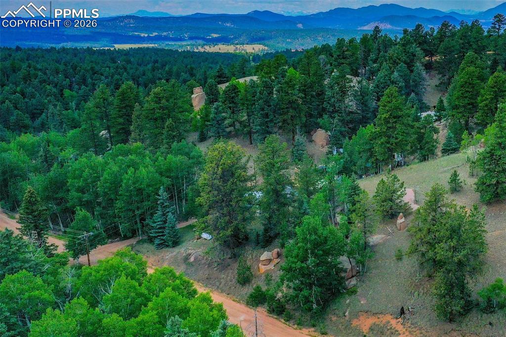 549 Spring Valley Lane Florissant, CO 80816 - Photo 6 of 12 an aerial view of residential houses with outdoor space and trees
