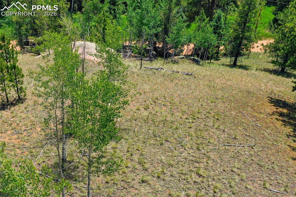 549 Spring Valley Lane Florissant, CO 80816 - Photo 7 of 12 a view of yard with green space