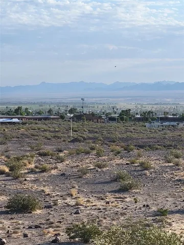 a view of a dry yard with trees