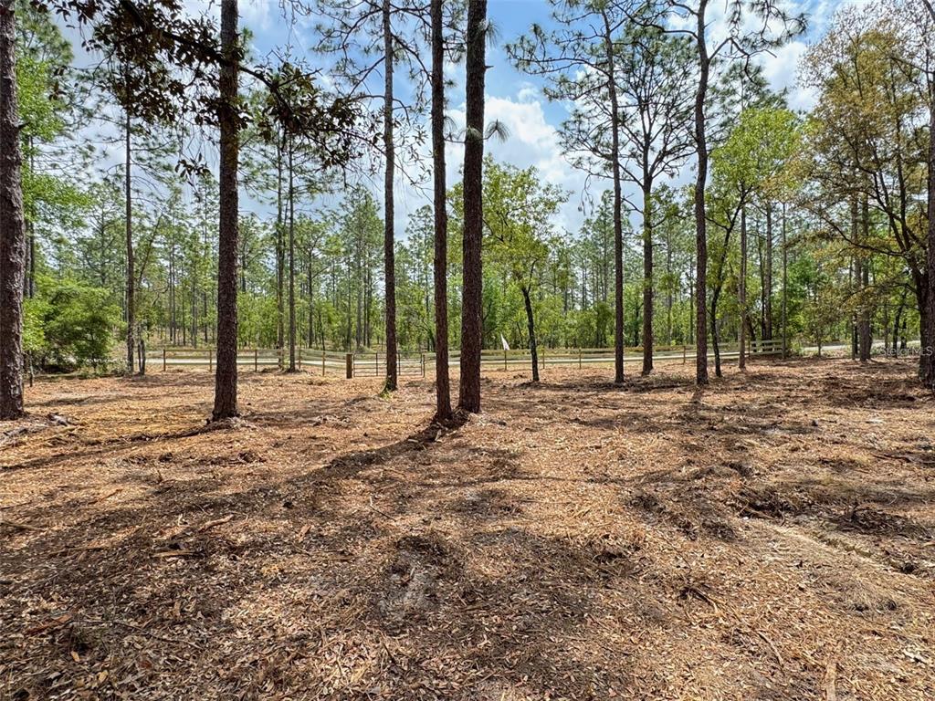 Southwest Deer Park Heights Road Dunnellon, FL 34431 - Photo 4 of 8
