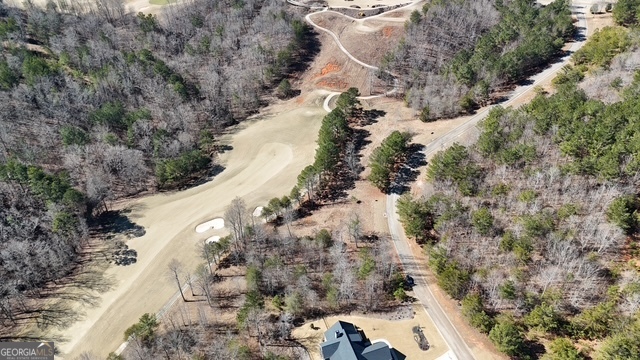256 Golf Ridge Way Toccoa, GA 30577 - Photo 20 of 20 a view of a yard with trees