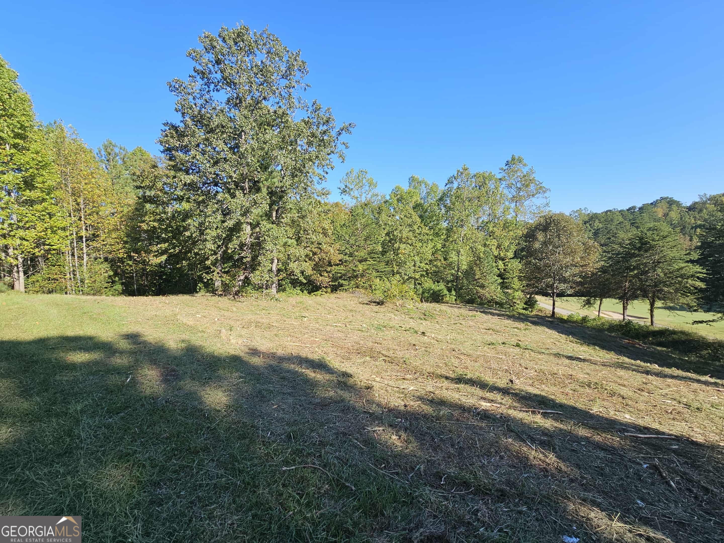 256 Golf Ridge Way Toccoa, GA 30577 - Photo 3 of 20 a view of mountain view with mountain view
