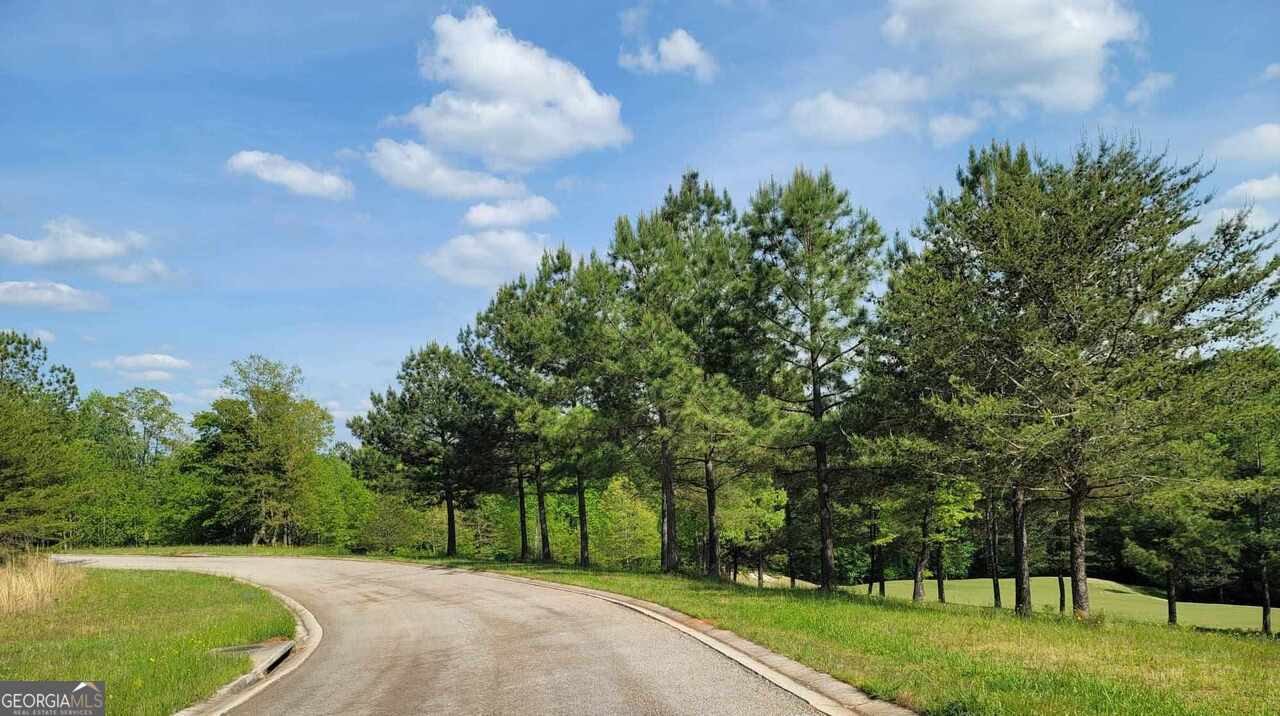 256 Golf Ridge Way Toccoa, GA 30577 - Photo 7 of 20 a view of a backyard
