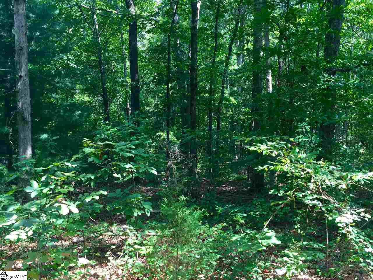 451 Fowler Road West Union, SC 29696 - Photo 4 of 11 Gallery Image 4