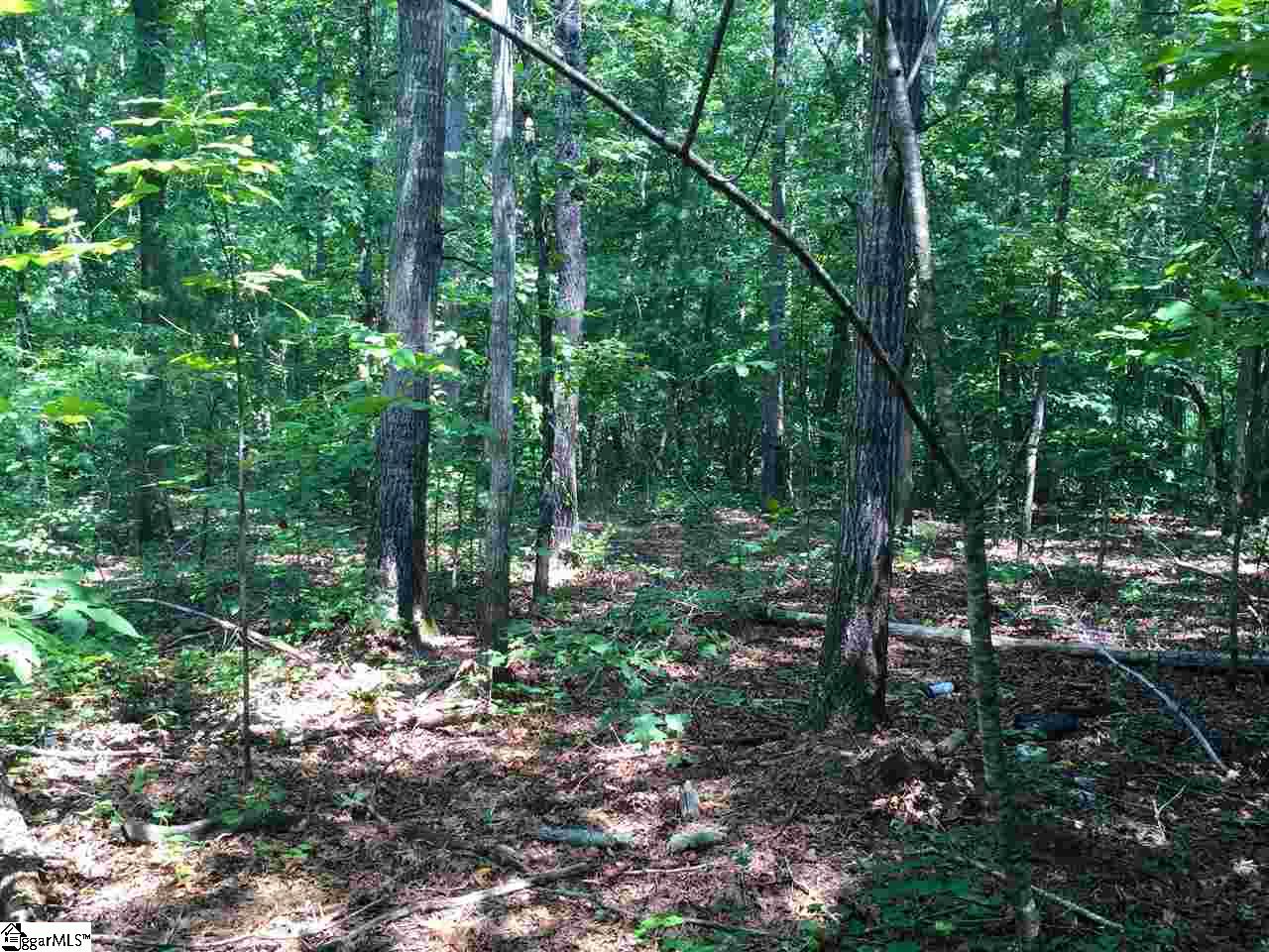 451 Fowler Road West Union, SC 29696 - Photo 7 of 11 Gallery Image 7