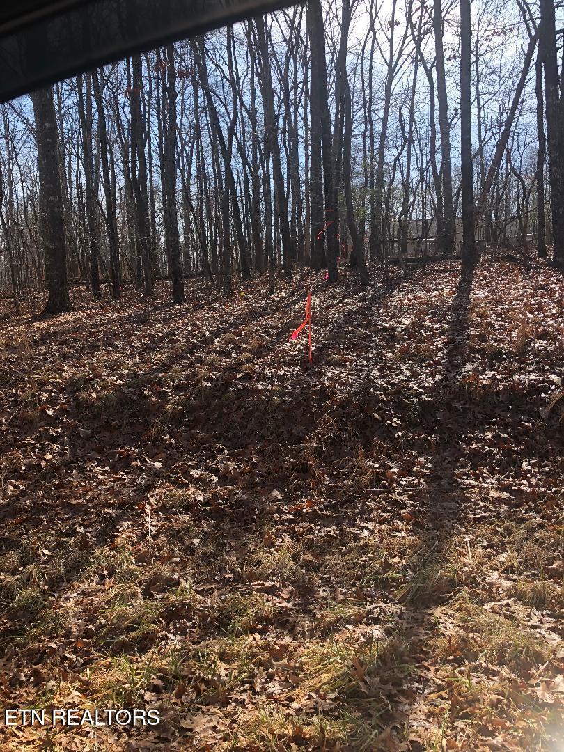 5248 Pawnee Road Crossville, TN 38572 - Photo 2 of 4 pawnee lot pic 1