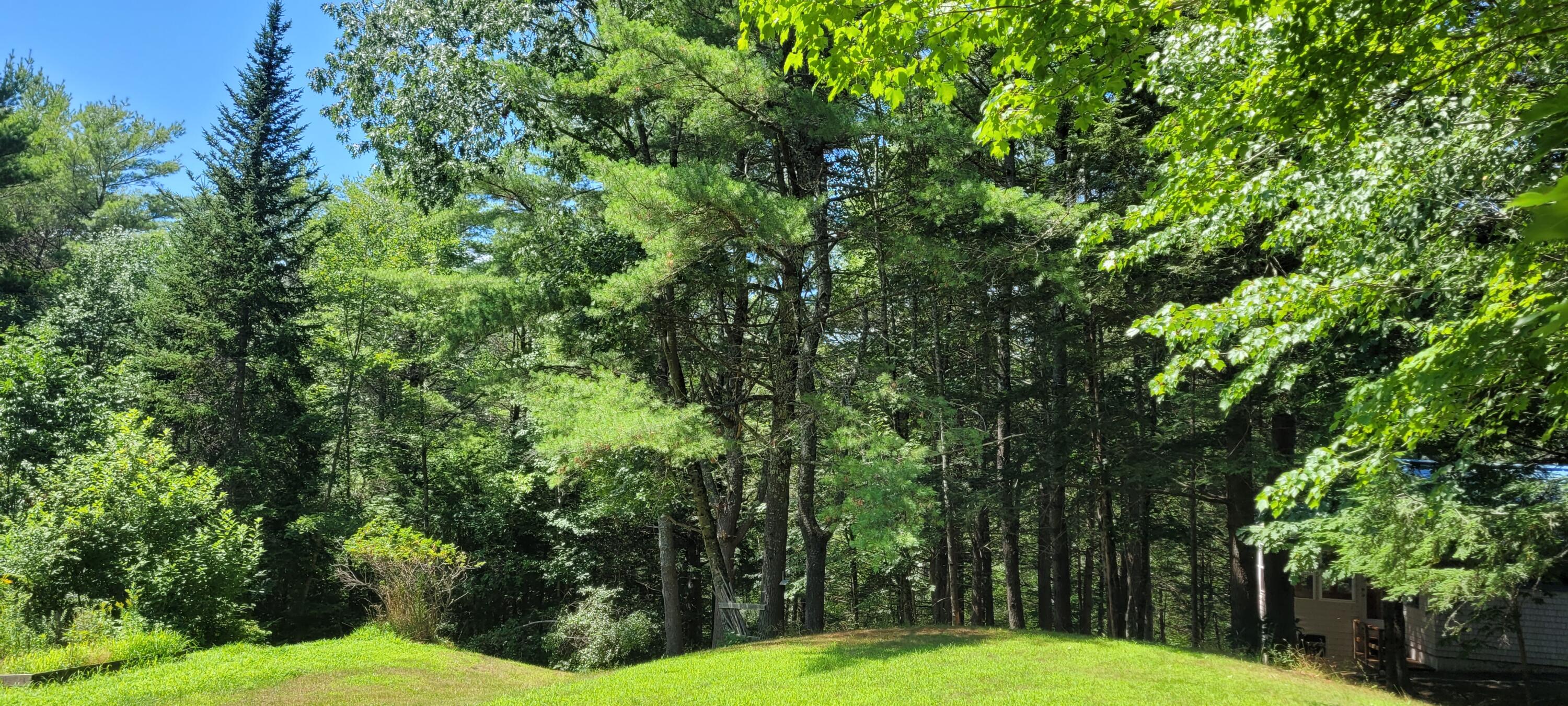 6 Montsweag Valley Road Wiscasset, ME 04578 - Photo 55 of 55 Yard