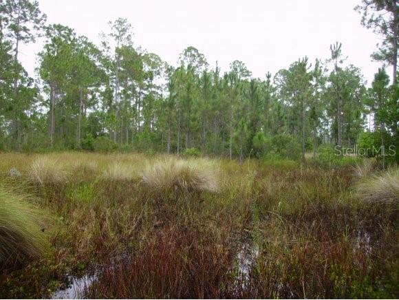 0 347th Road Cedar Key, FL 32625 - Photo 1 of 1 Gallery Image 1