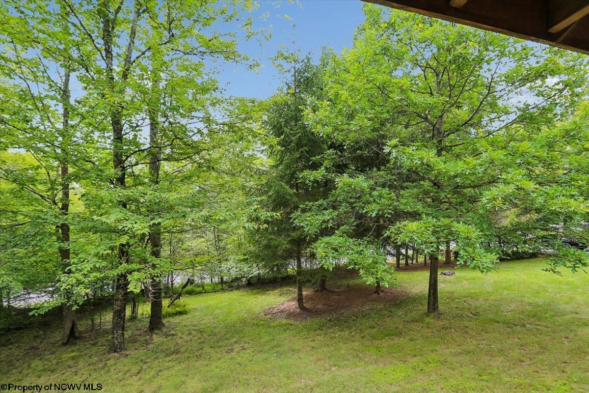 352 Ridge Road Davis, WV 26260 - Photo 33 of 47 Gallery Image 33