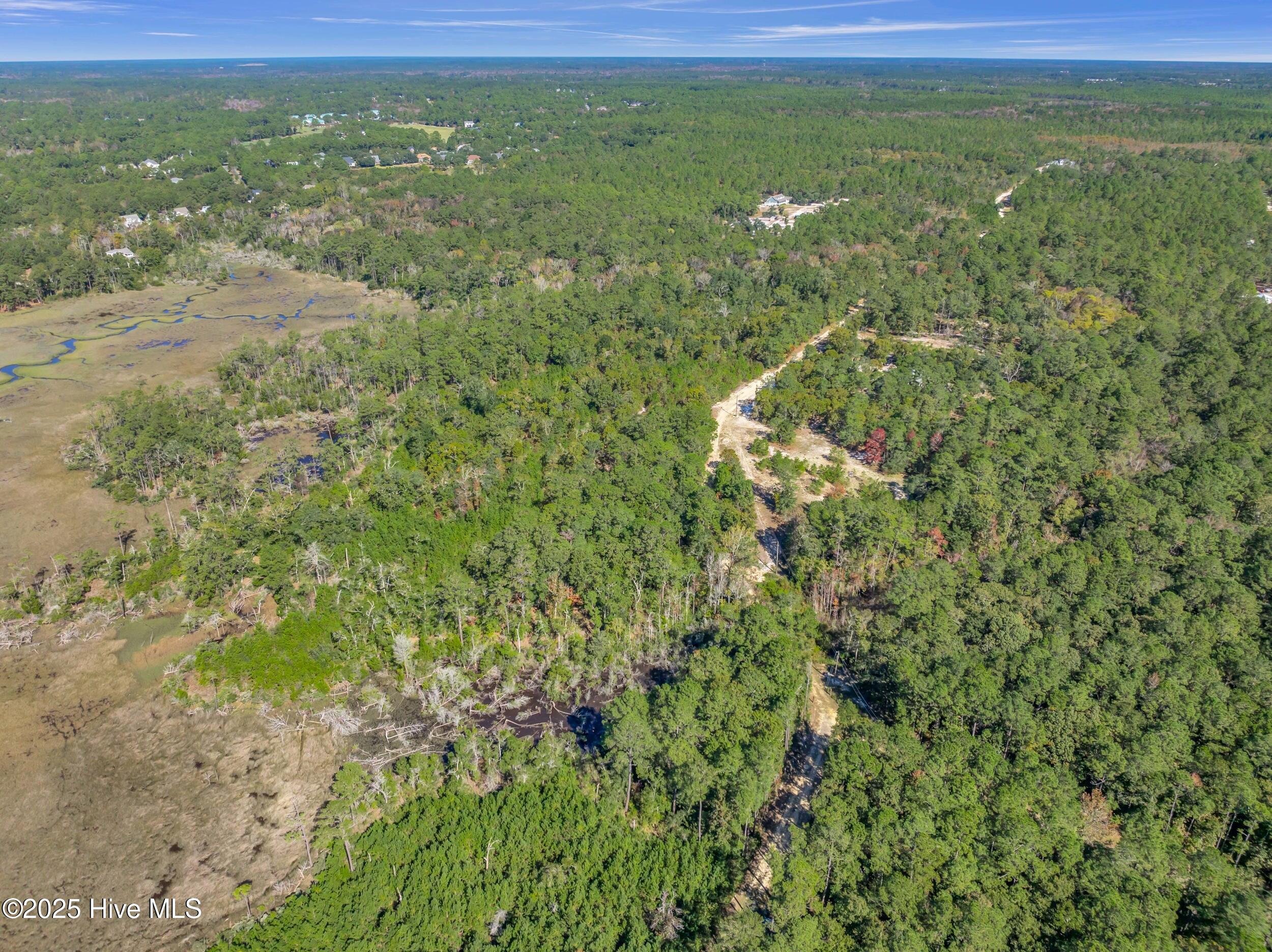 0 Zion Hill Road Southeast Bolivia, NC 28422 - Photo 12 of 14 12_zion hill rd-00012