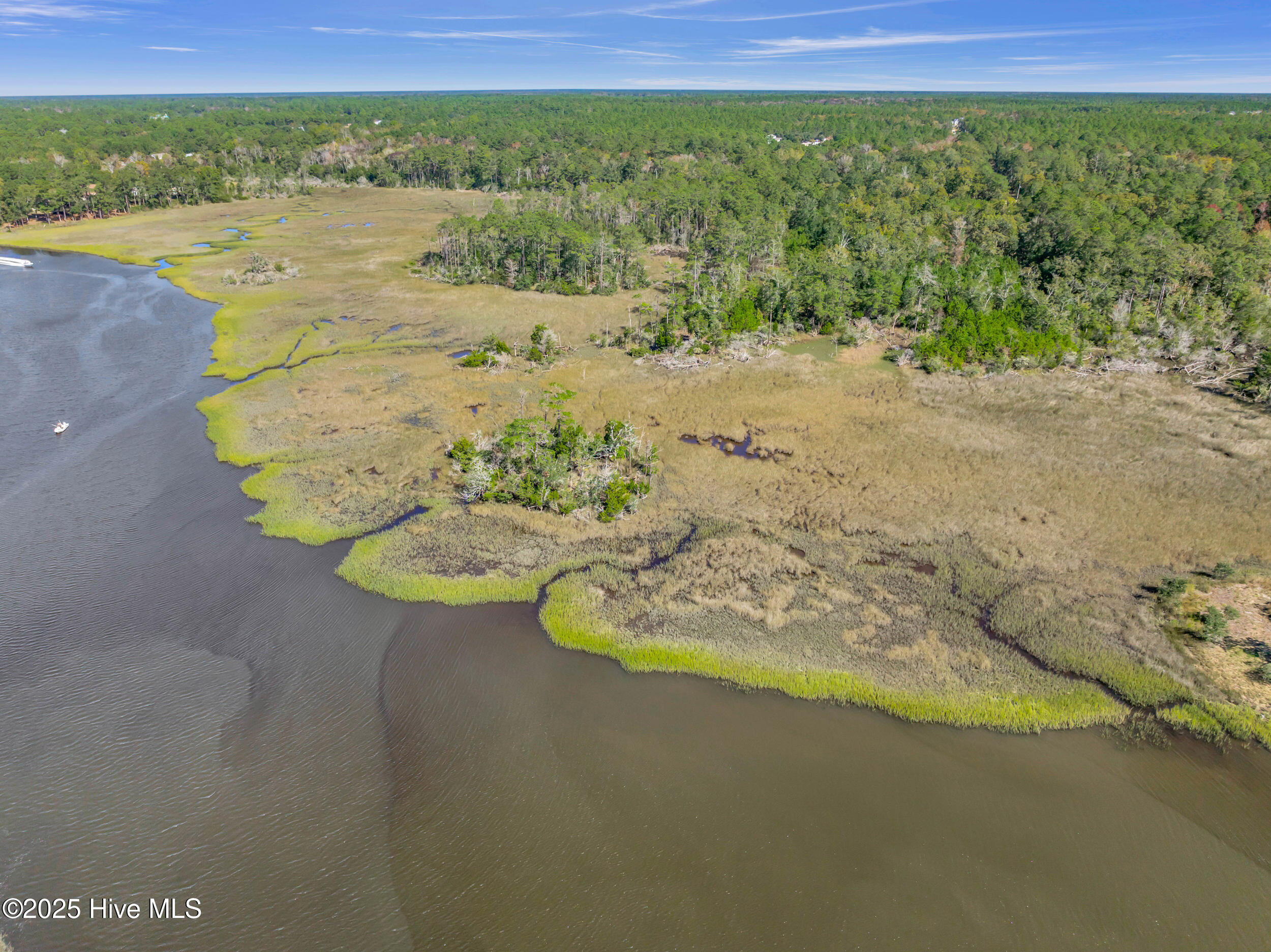 0 Zion Hill Road Southeast Bolivia, NC 28422 - Photo 13 of 14 13_zion hill rd-00013