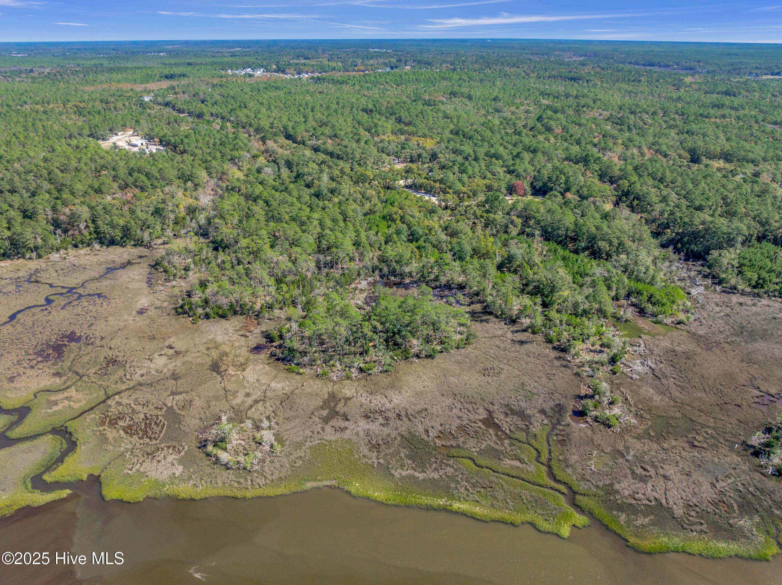 0 Zion Hill Road Southeast Bolivia, NC 28422 - Photo 10 of 14 10_zion hill rd-00010