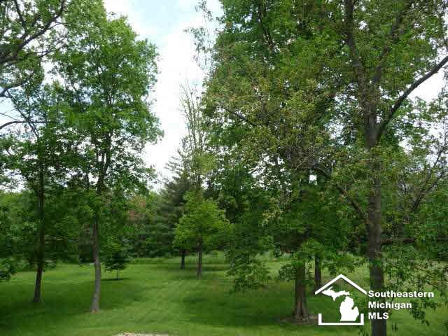 17778 Kent Road Dundee, MI 48131 - Photo 6 of 18
