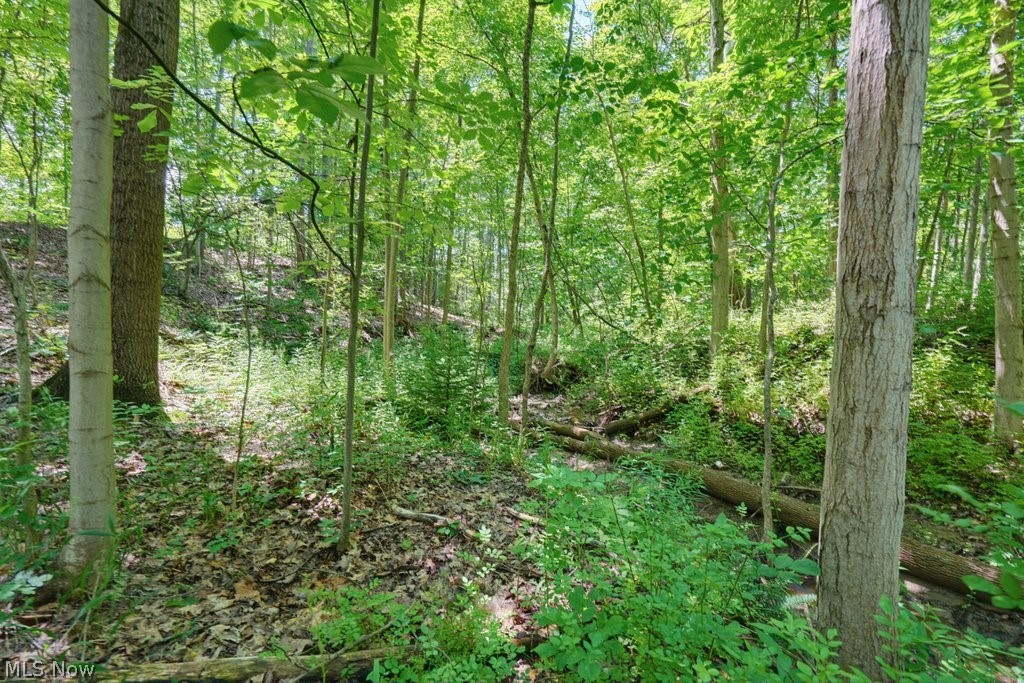 0 North Chillicothe Road Aurora, OH 44202 - Photo 20 of 36