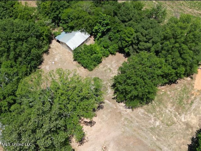 526 Lewis Prestage Road Pelahatchie, MS 39145 - Photo 3 of 8 IMG_0676 (1)