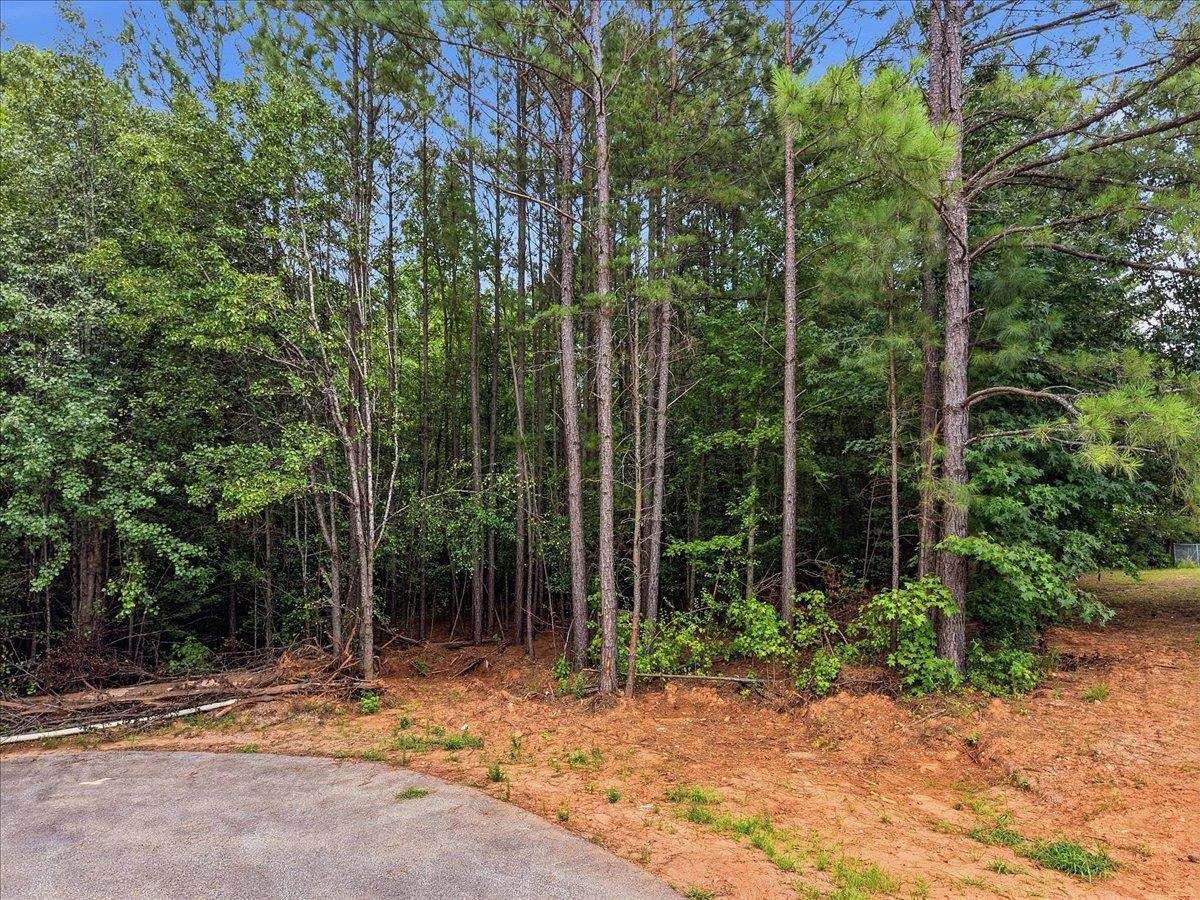 0 East Fowler Farm Road Gaffney, SC 29341 - Photo 7 of 18 Gallery Image 7