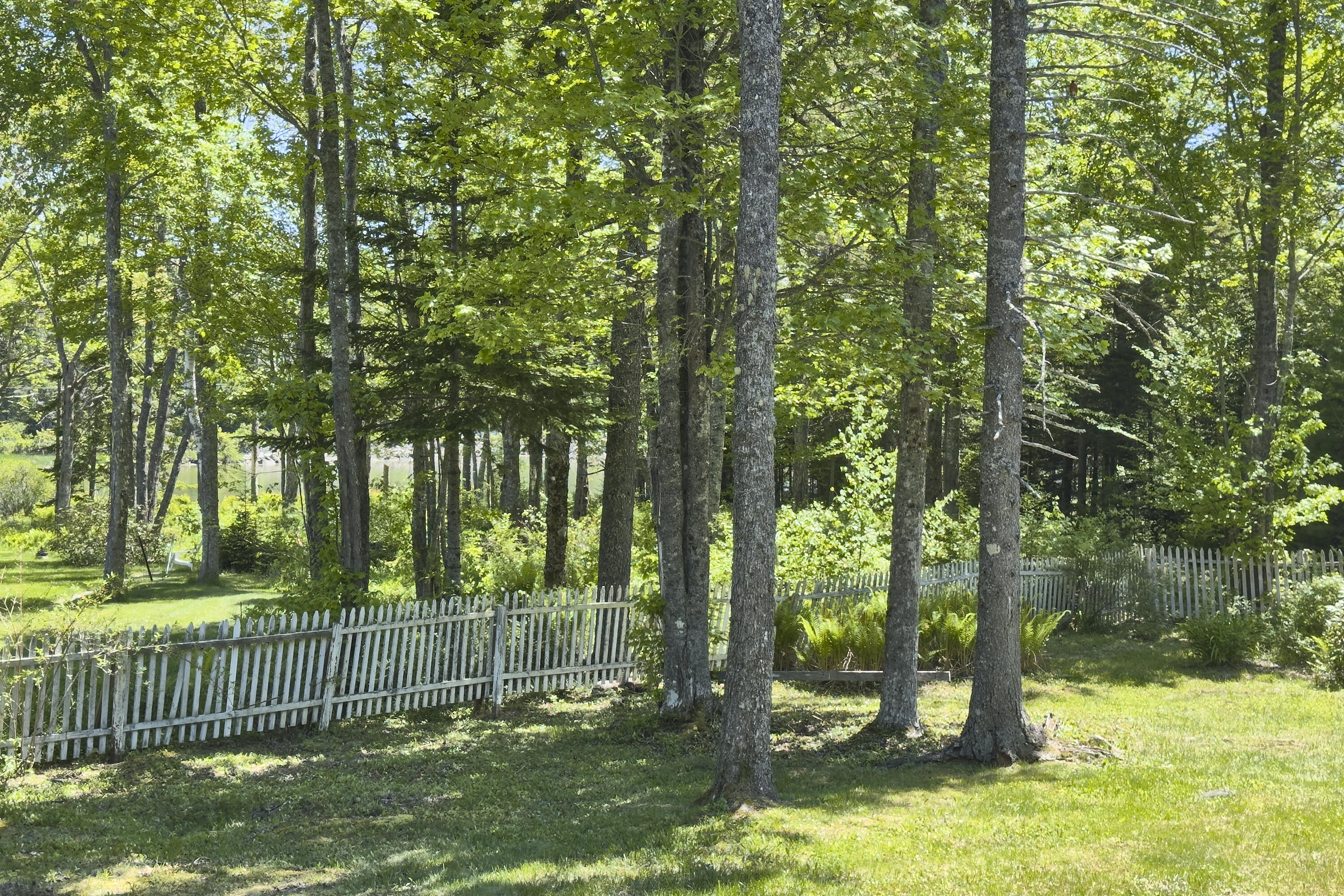 441 Seal Harbor Road St. George, ME 04859 - Photo 40 of 45 65- 441 Seal Harbor Road - St. George- J