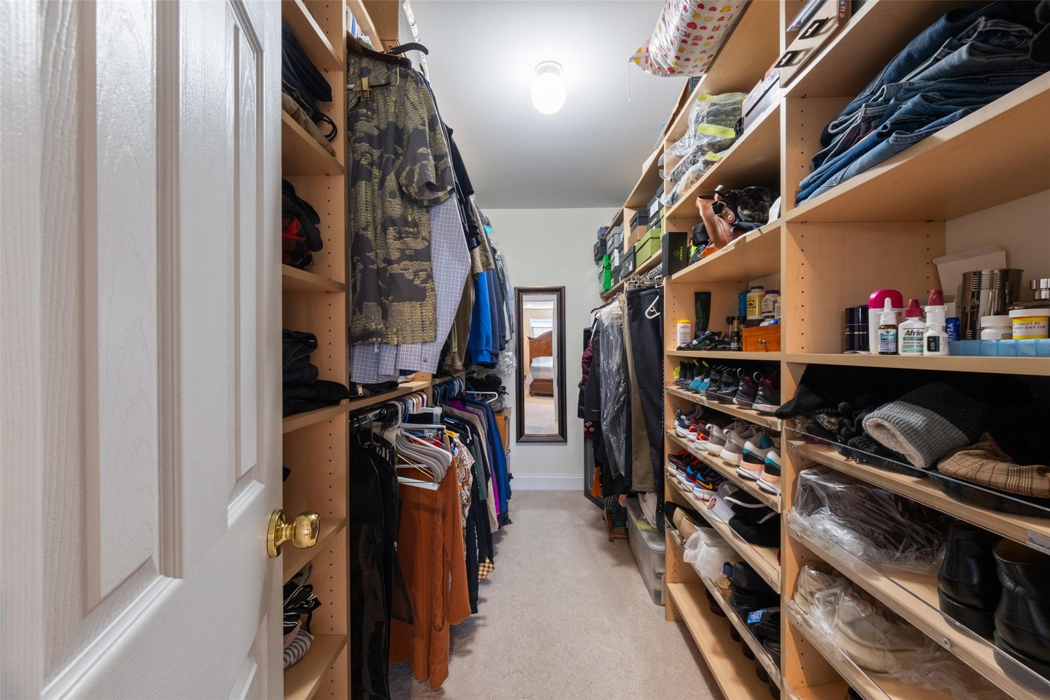 15 Bobrick Road Poughkeepsie, NY 12601 - Photo 15 of 36 Walk in closet featuring light carpet