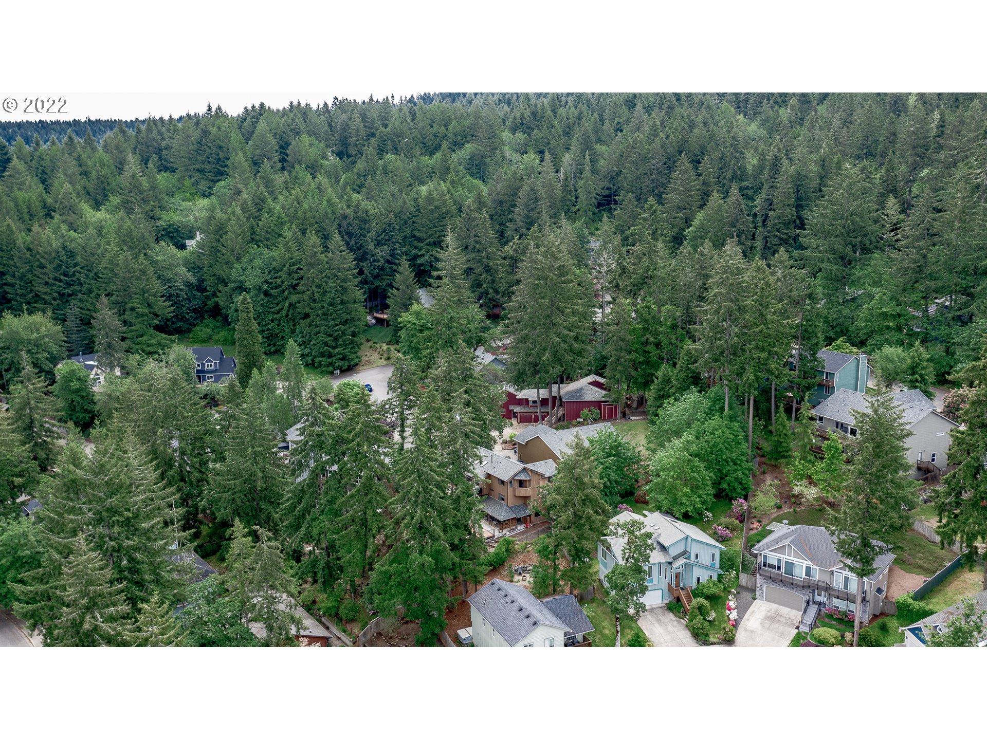 864 South 73rd Street Springfield, OR 97478 - Photo 26 of 30 a open area with lots of trees