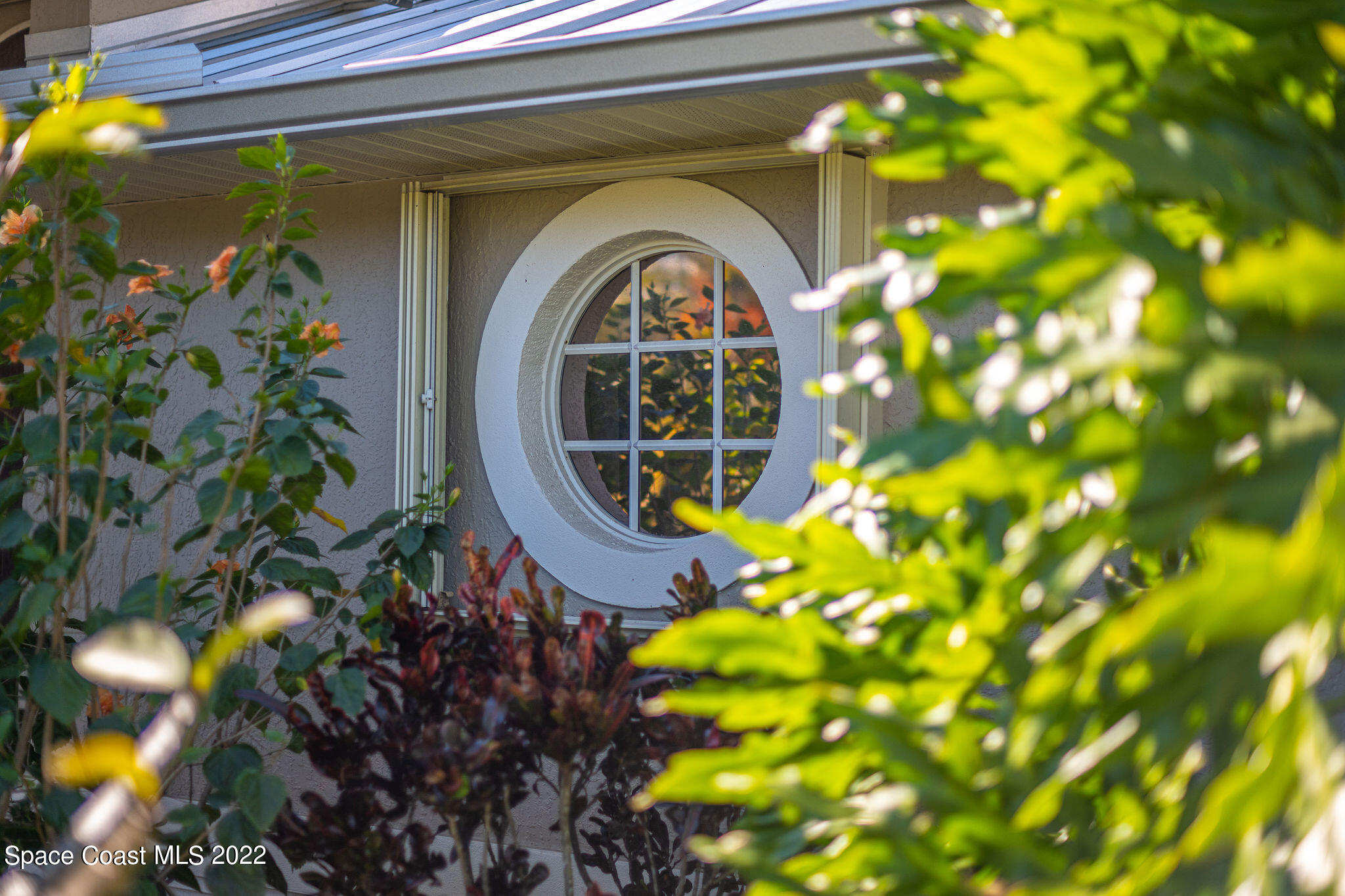 1566 Eagles Circle Sebastian, FL 32958 - Photo 34 of 59 a picture of a tree